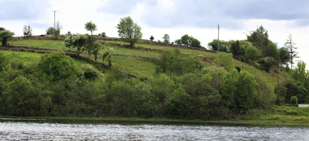 Inchagoill, Maflies, Lough Corrib, Oughterard, Galway, Ireland