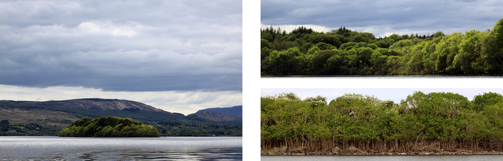Inchagoill, Maflies, Lough Corrib, Oughterard, Galway, Ireland