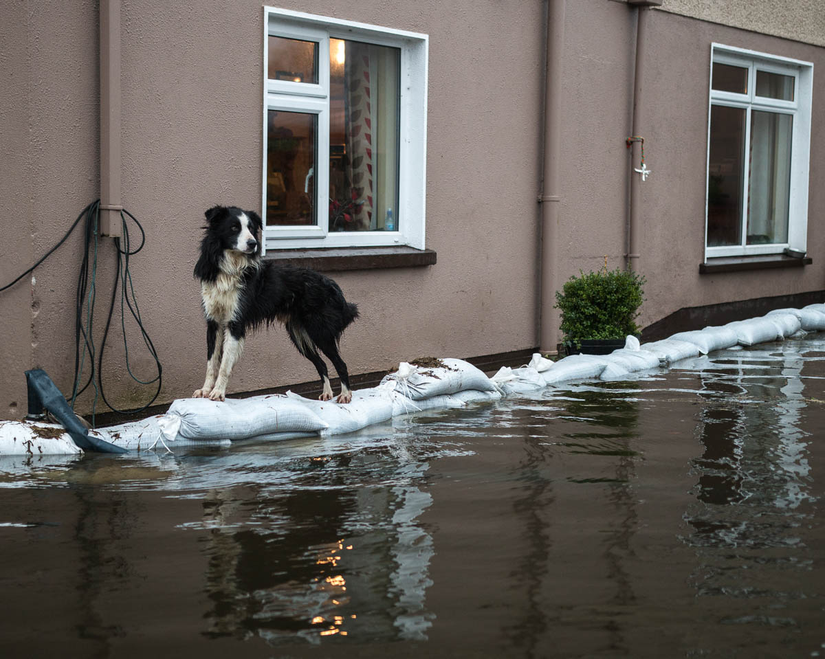 photos roundfort winter flood on farm