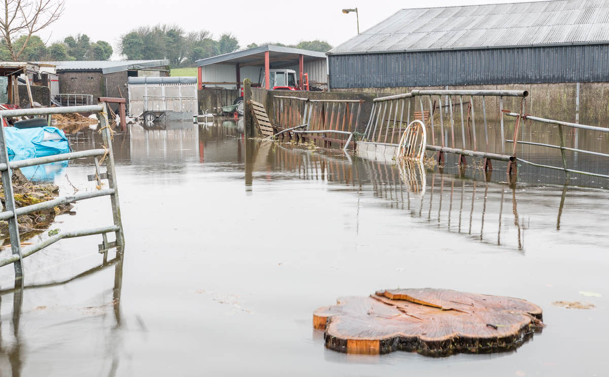 photos roundfort winter flood on farm