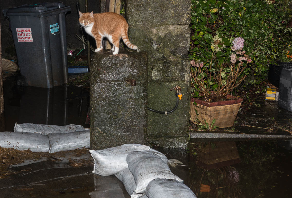 photos roundfort winter flood on farm