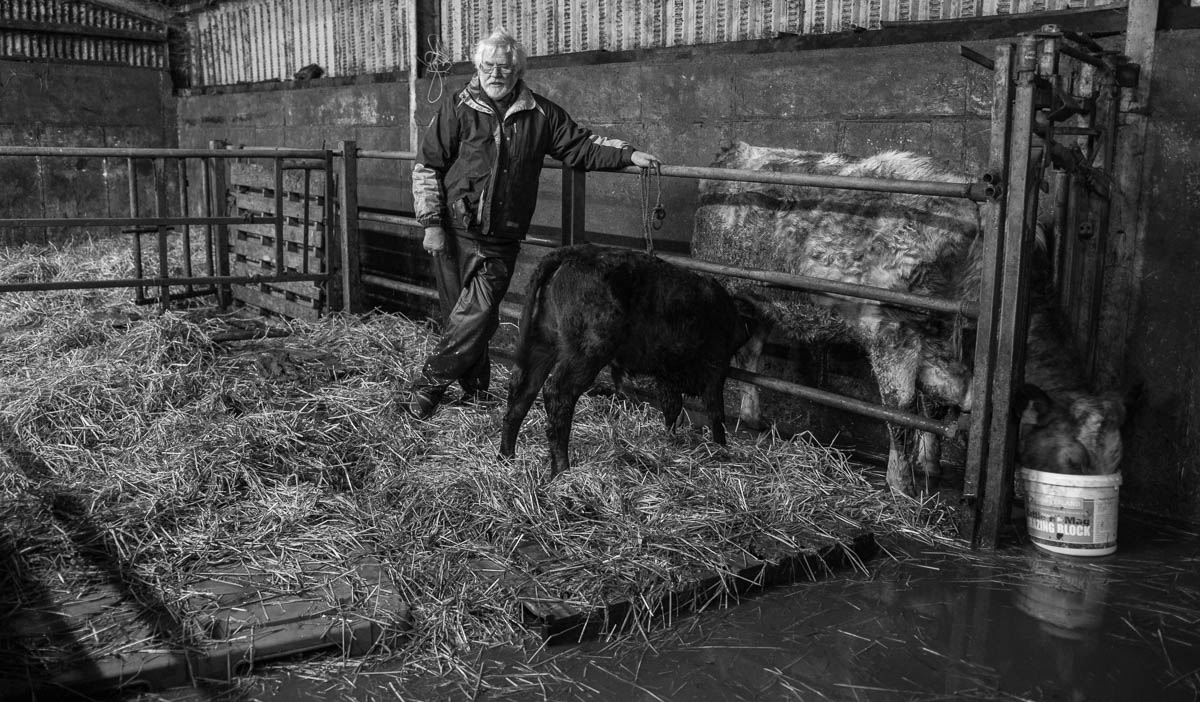 photos roundfort winter flood on farm