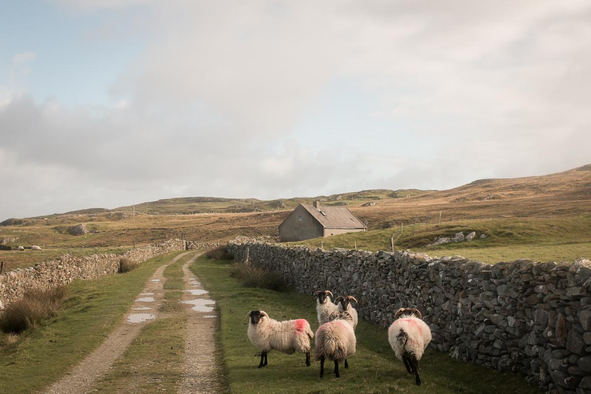 inishnofin,island life, ireland, atlantic ocean, Donal Kelly photography