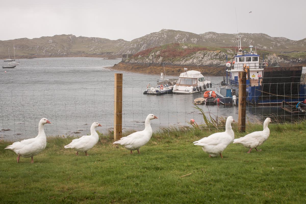 inishnofin,island life, ireland, atlantic ocean, Donal Kelly photography
