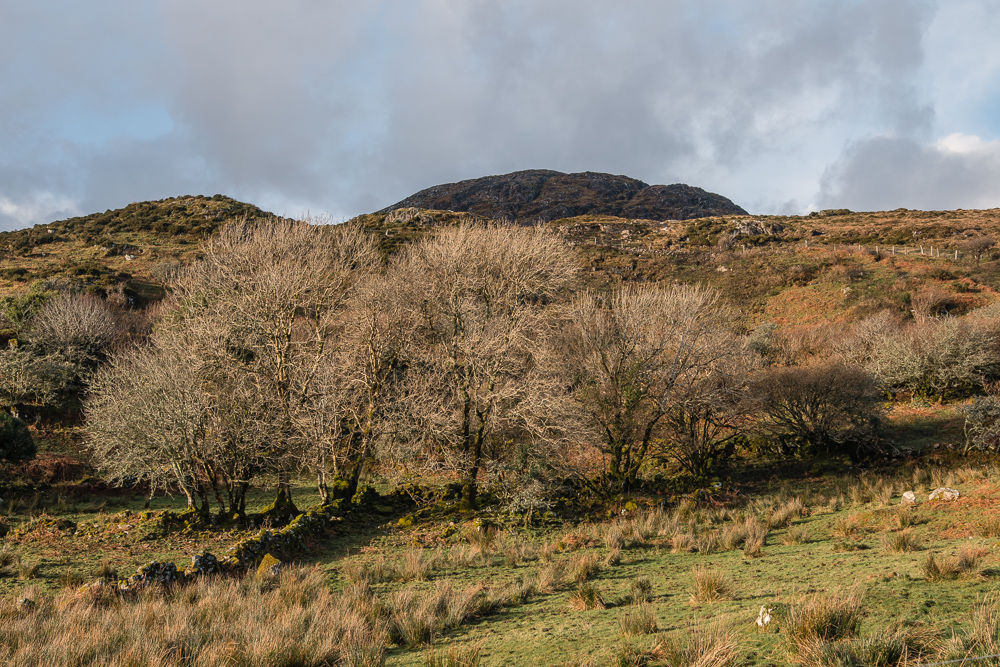 Atlantic photos, Cashel, Cashel Hill, Connemara, Conamara, Galway, Ireland, Donal Kelly Photography